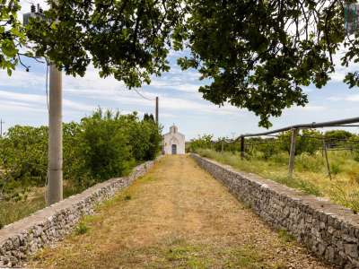 Rientriamo ora verso il centro di Casamassima e imbocchiamo la strada per Turi. Dopo un paio di chilometri prendiamo un viottolo sulla sinistra e arriviamo a uno slargo che si affaccia sulla sponda mancina di Lama San Giorgio